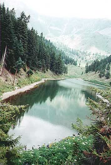 Şentürk Dursun