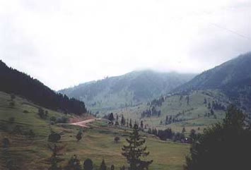 Şentürk Dursun