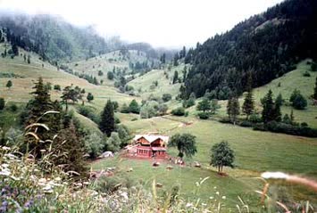 Şentürk Dursun