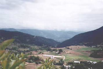 Şentürk Dursun