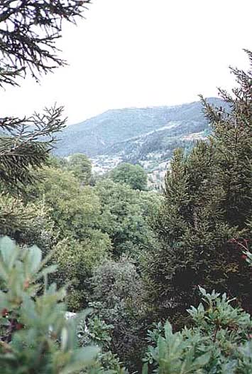 Şentürk Dursun