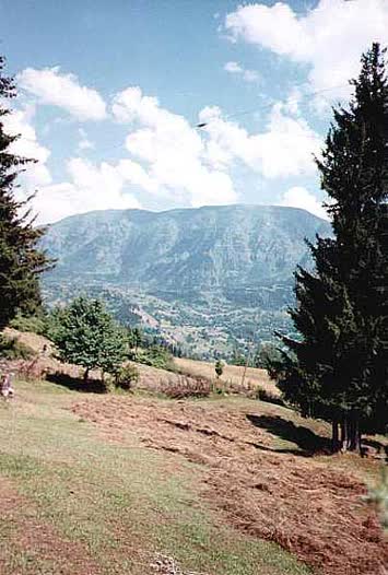 Şentürk Dursun