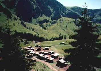 Şentürk Dursun