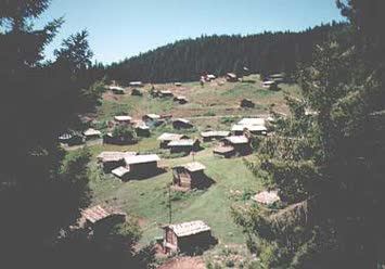 Şentürk Dursun
