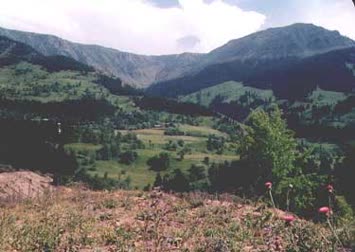 Şentürk Dursun