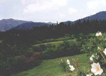 Şentürk Dursun