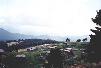 Şentürk Dursun