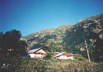 Şentürk Dursun