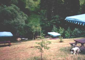Şentürk Dursun