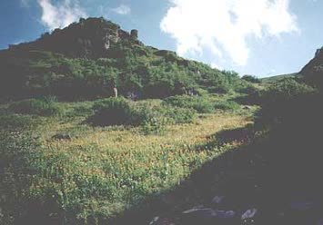 Şentürk Dursun