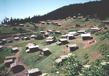 Şentürk Dursun