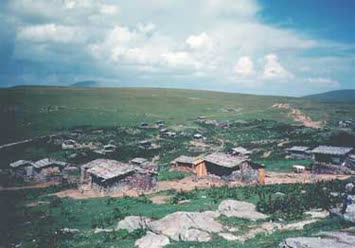 Şentürk Dursun