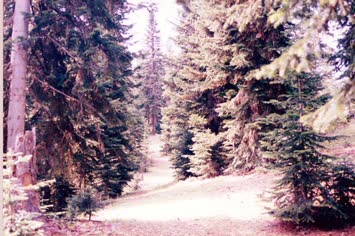 Sırtlar Yolu