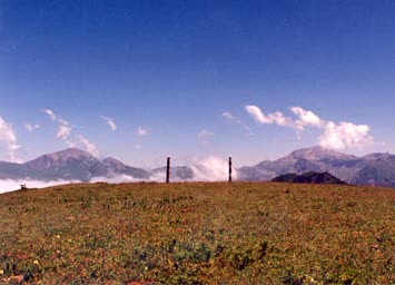 Sınır