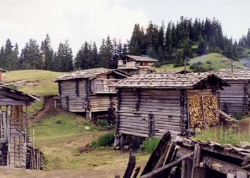 Yayla
