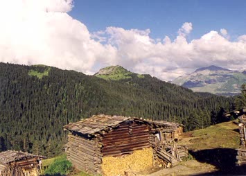 Yayla