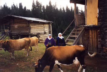 Yayla