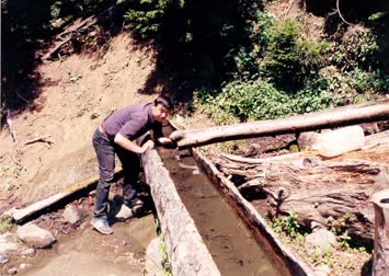 Çift Funğar