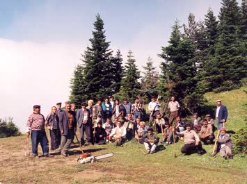 Toplu Halde