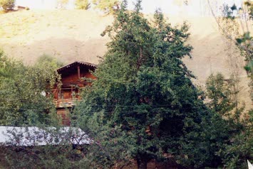 Evimiz ve Armut Ağacı
