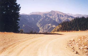 Nazım Keskin