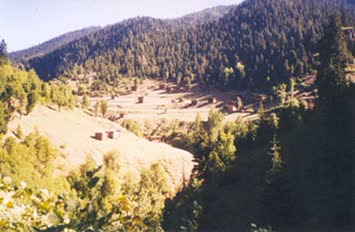 Nazım Keskin