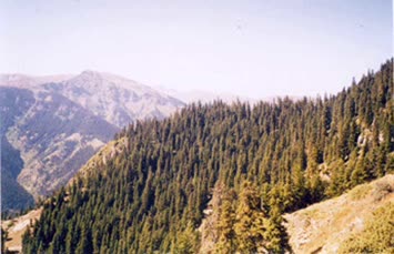 Nazım Keskin