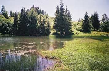 Eda Kara