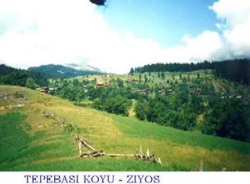Suleyman Pehlevan