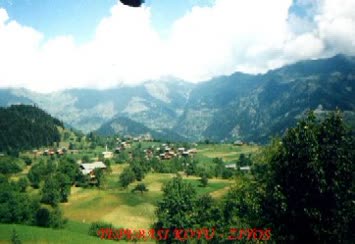 Suleyman Pehlevan
