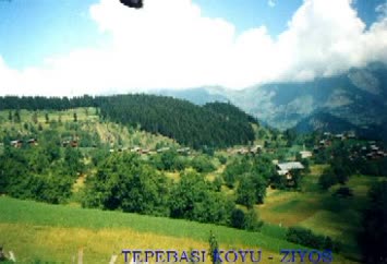 Suleyman Pehlevan