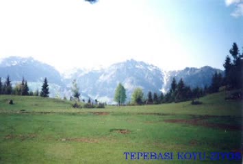 Suleyman Pehlevan