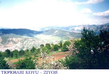 Suleyman Pehlevan