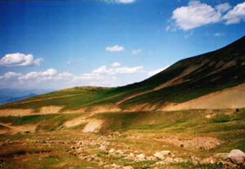 yayladan