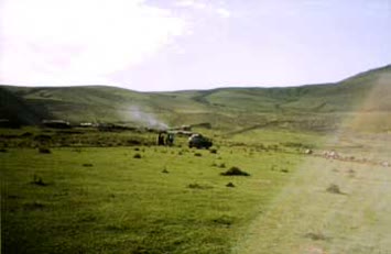 yayla