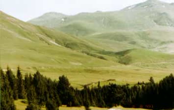 yayla5