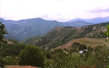 Köyden Karçallar