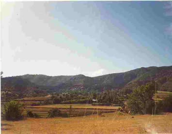 Özbay Akaltun