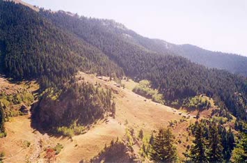 Nazım Keskin