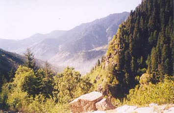 Nazım Keskin