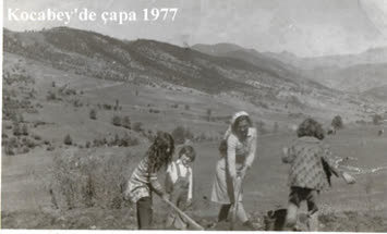 Kocabeyde Çapa 1977
