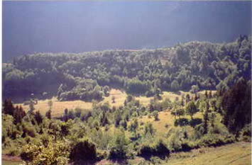 Hantuşet