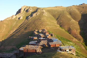 Zata Yayla