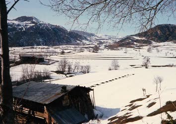 Cevizli Köyünde Kış