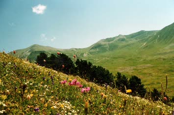 Şavşat ve Yaylalar