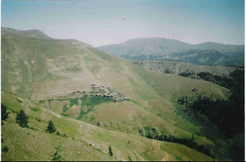 Özcan Özcan