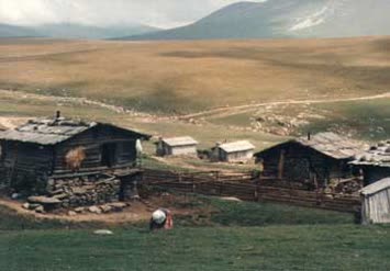 Yayla