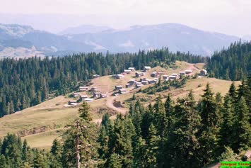 yayla