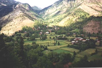 iPHREULi(Taskopru) KOYU