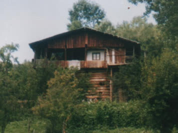 Mubin Şeker Galeri